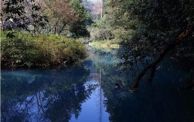 萧山顺坝最新规划揭秘，奇妙之旅启程