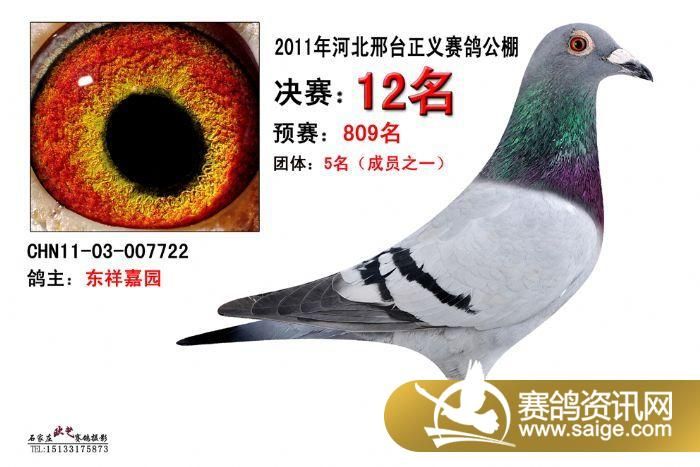 正义公棚最新公告重磅更新，不容错过的最新资讯！