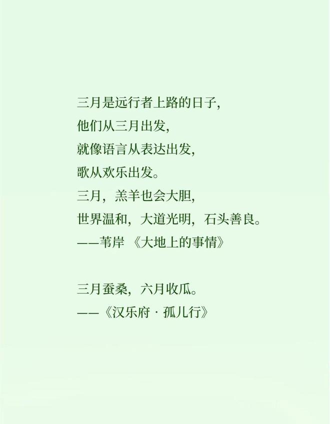 时光印记探寻，2024年最新句子的时代风采