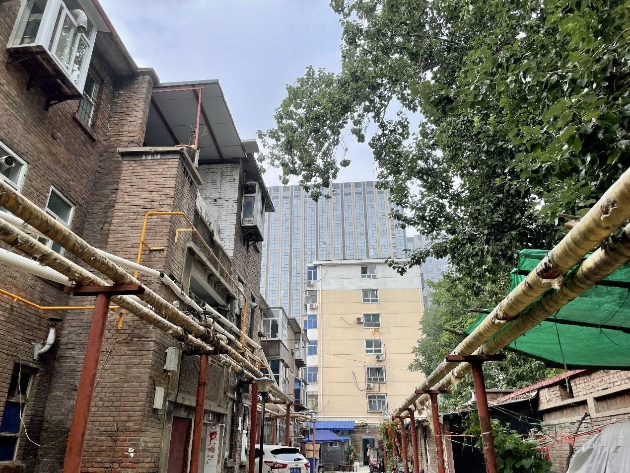 白洋淀楼盘最新动态与房源信息🏠
