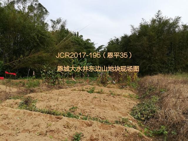 恩平最新地皮出售，探寻自然美景之旅，寻觅内心平和之地