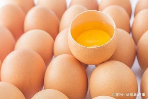 今日北京鸡蛋最新报价与温馨有趣的鸡蛋故事