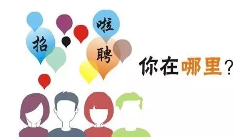 石家庄最新招聘信息概览，时代脉搏与人才交响的交汇点