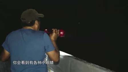 兔小妹探险最新视频，一场别开生面的冒险之旅探索未知的世界