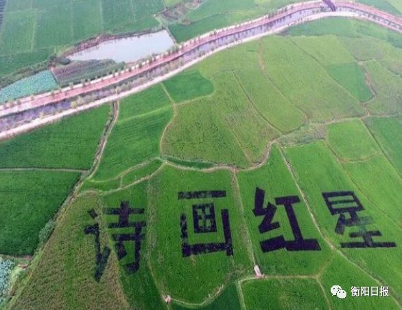 常宁市李涛引领科技潮流重塑生活体验的最新动态