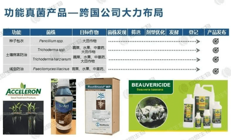 技术服务 第337页