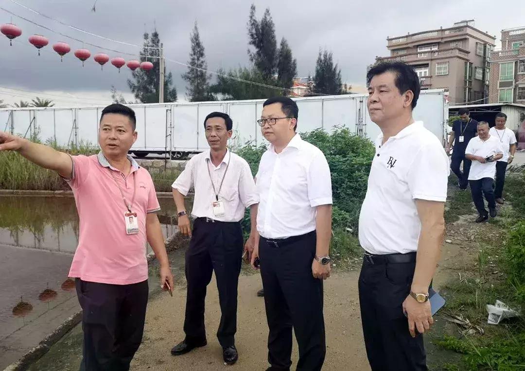濠江最好的免费资料,精细化实施分析_清晰版2.601