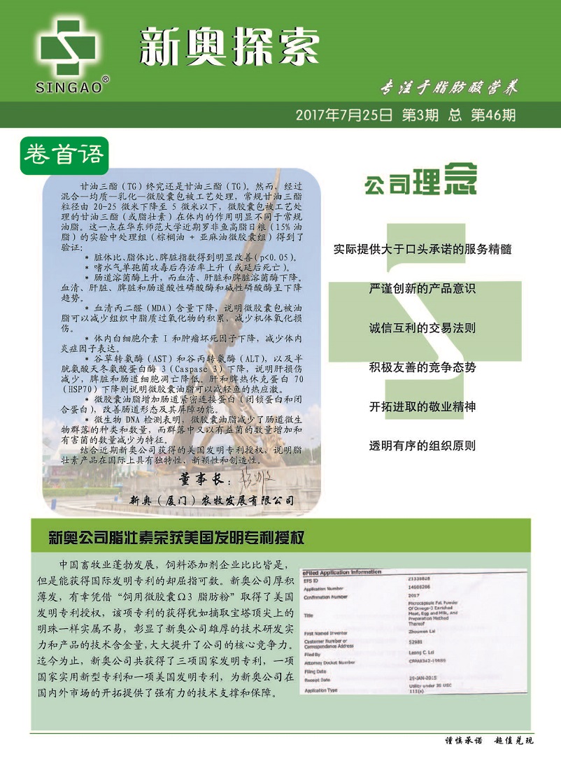 2024新奥正版资料最精准免费大全,操作实践评估_智能版8.437