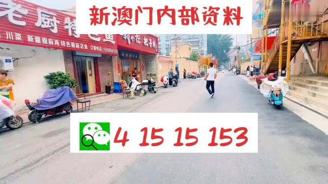 2024澳门天天开好彩大全46期,实证分析详细枕_荣耀版98.757