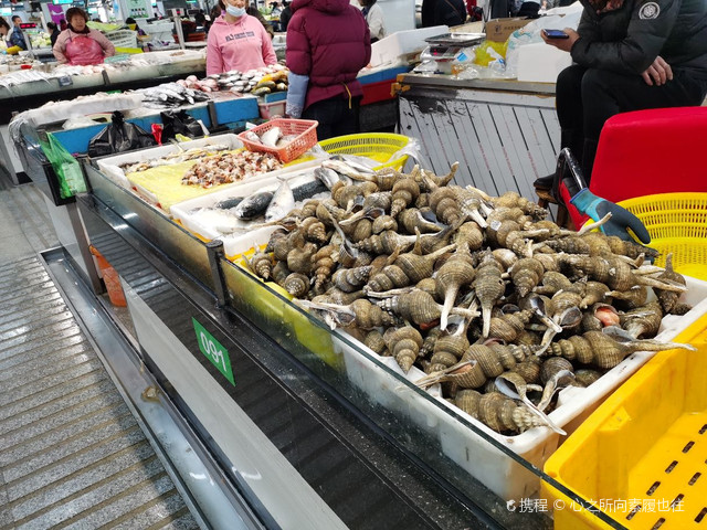 朱家尖海鲜市场最新