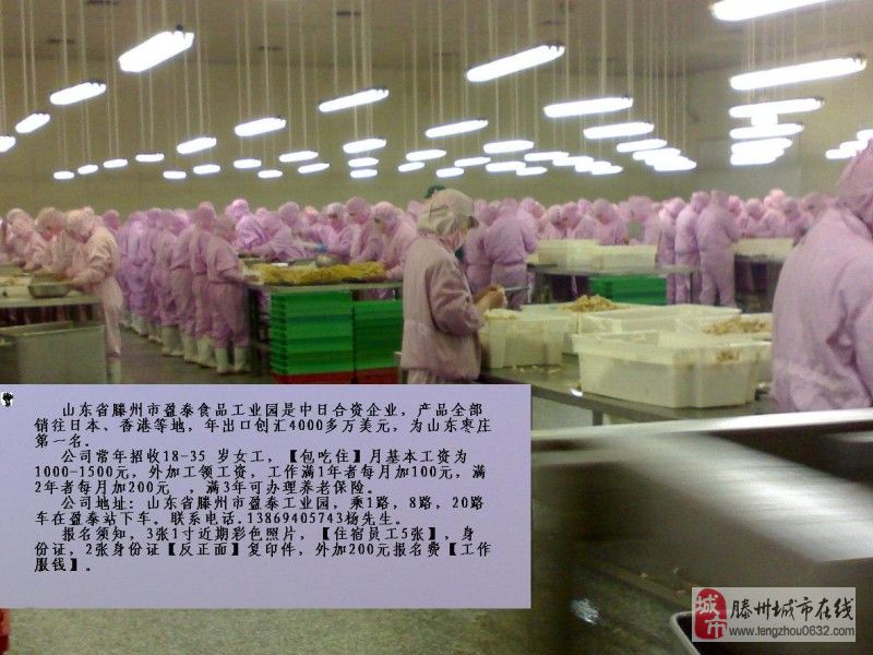 曲周工厂女工招聘启事，开启职业新篇章之路