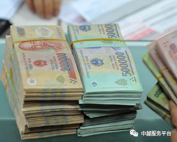 越南最新资讯动态更新📰