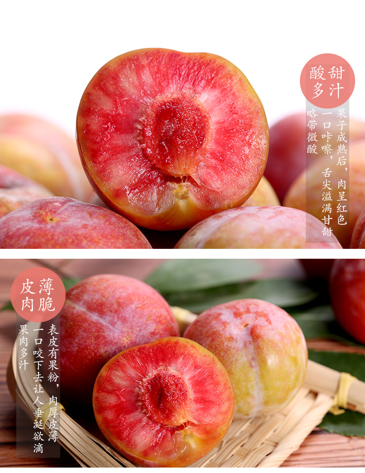 李子市场行情分析，最新行情动态与展望