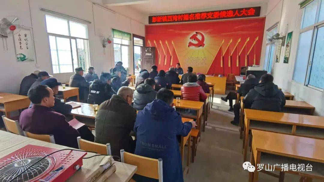 村两委班子运行状况深度解析