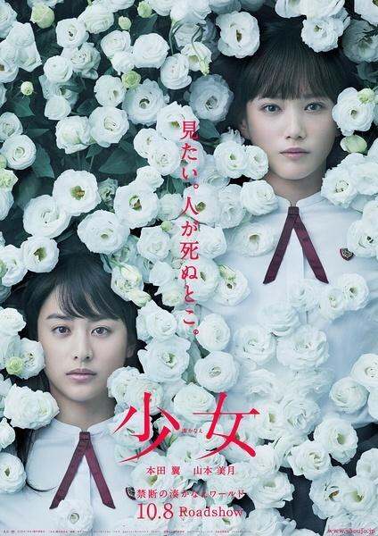 日本电影少女，青春梦想成长的独特魅力之旅