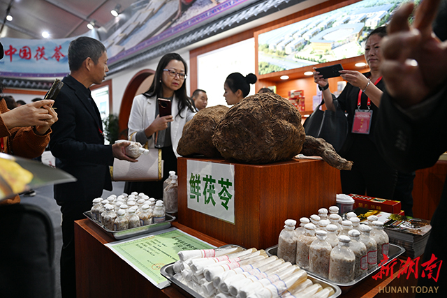 茯苓市场动态分析与把握策略指南
