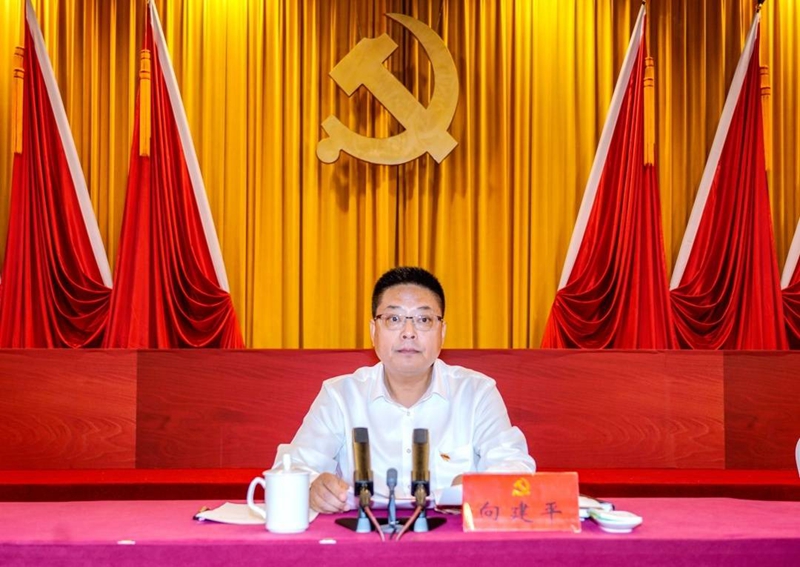 达川区委常委最新名单揭晓，背后的温情故事引人关注